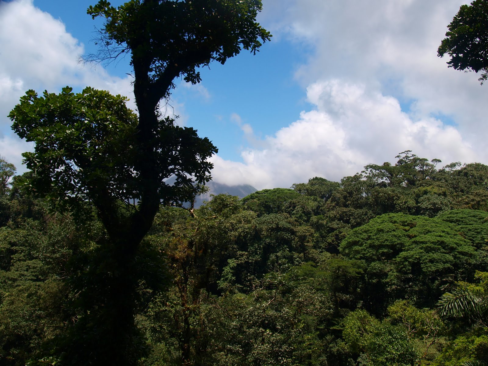 [P9092047.JPG]