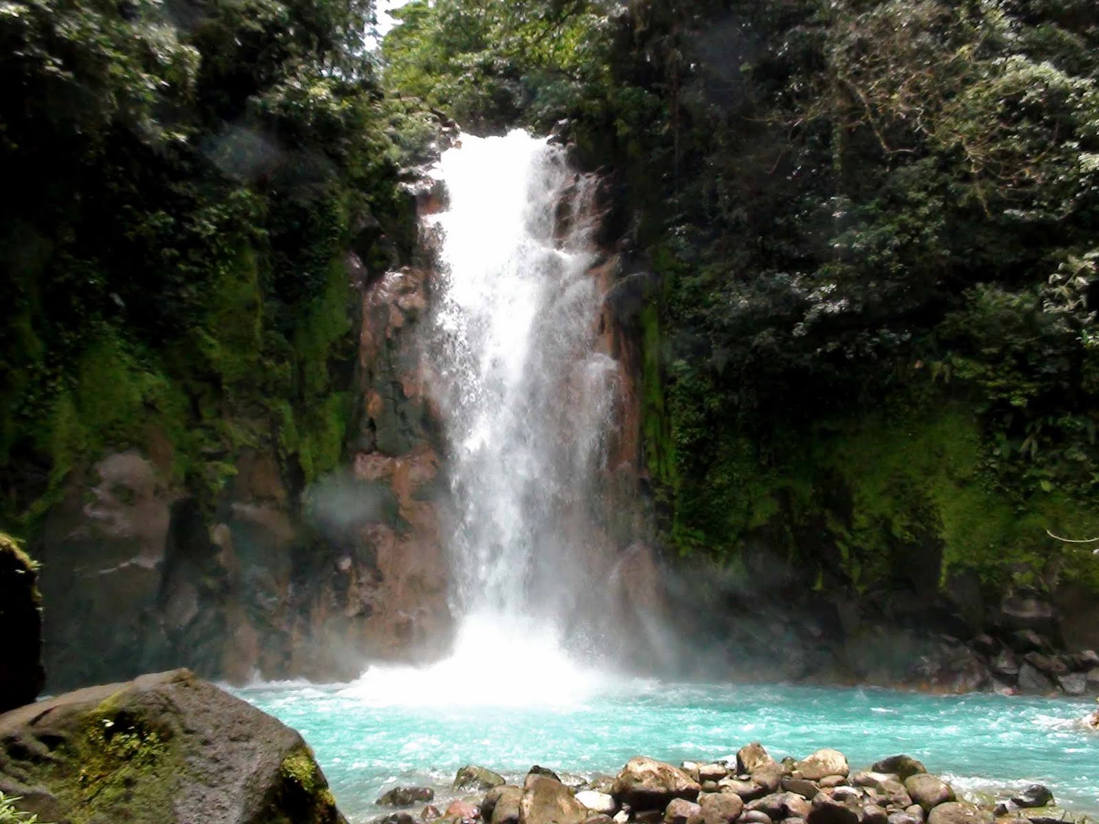 [DSC00151.JPG]