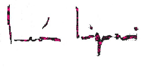 L u c i a n o  L e ó n  L i g u o r i
