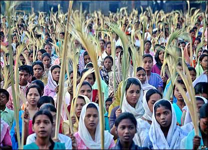 [_41541722_palm_india_ap416.jpg]