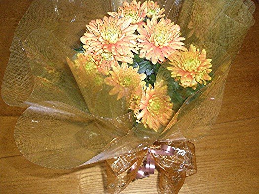 [surprise+close.jpg]