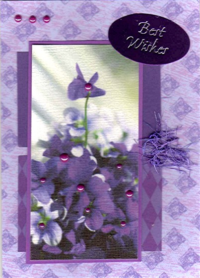 [2009+01+13++34.jpg]