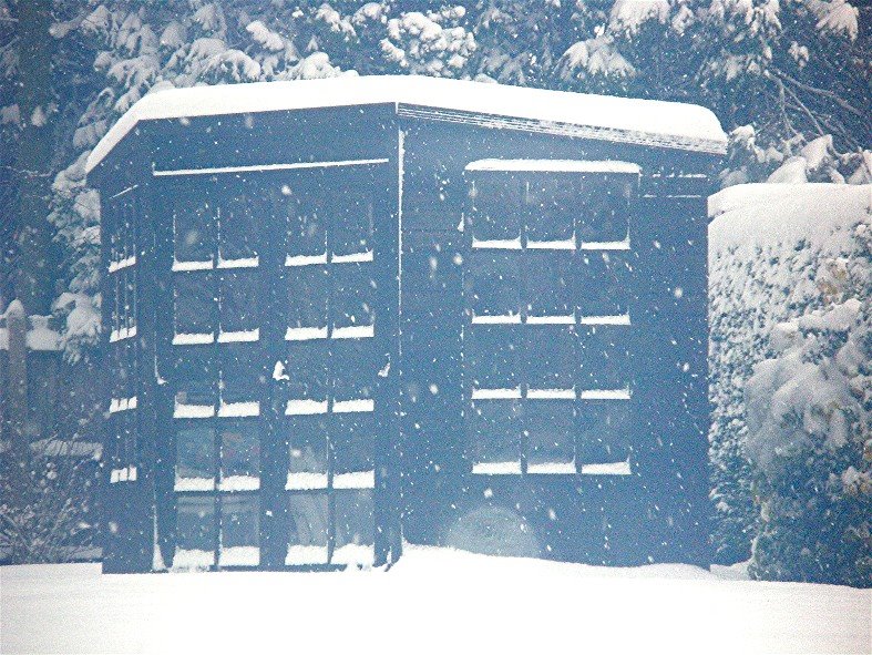 [2009+02+02+snow+8.jpg]