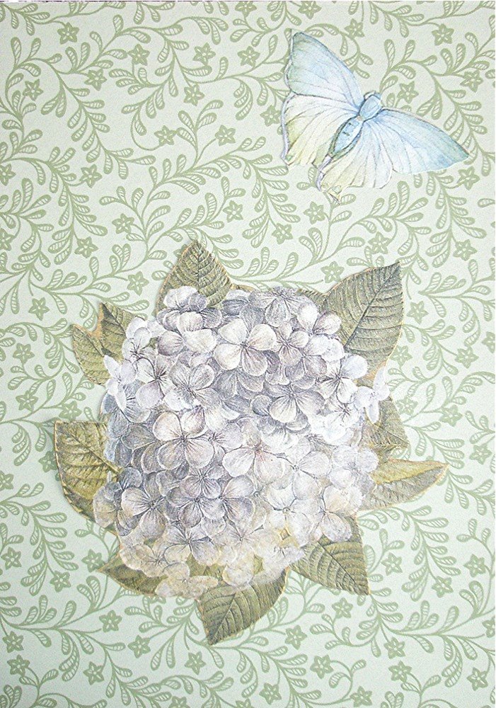 [2009+04+03+sympathy+4.jpg]