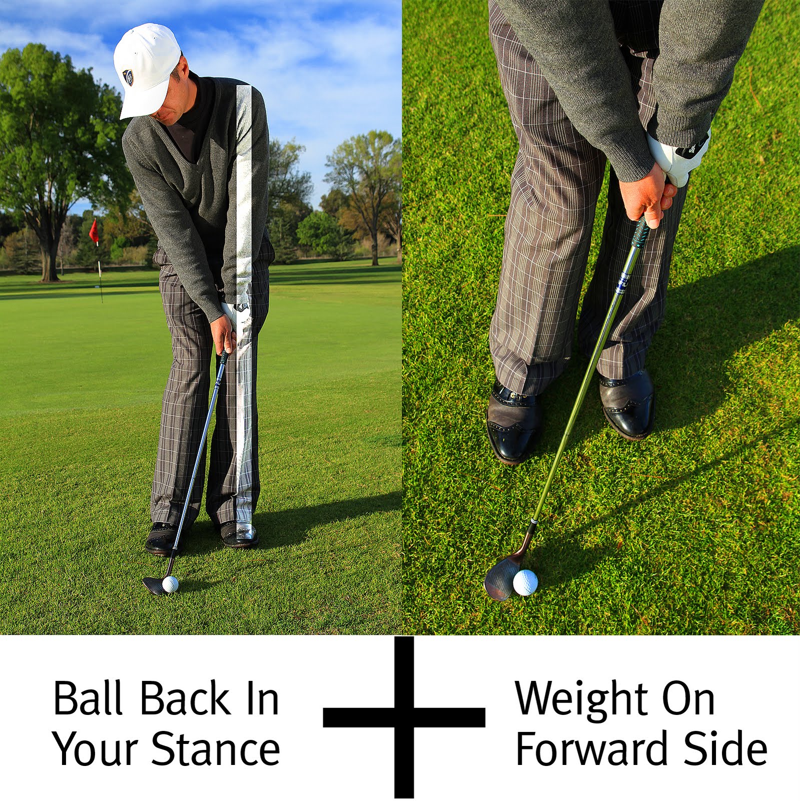 Hinds' Sight Foolproof Chipping