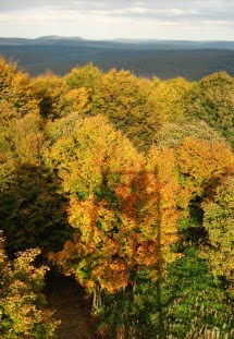 "A Bóg widział, że wszystko, co uczynił, było bardzo dobre".