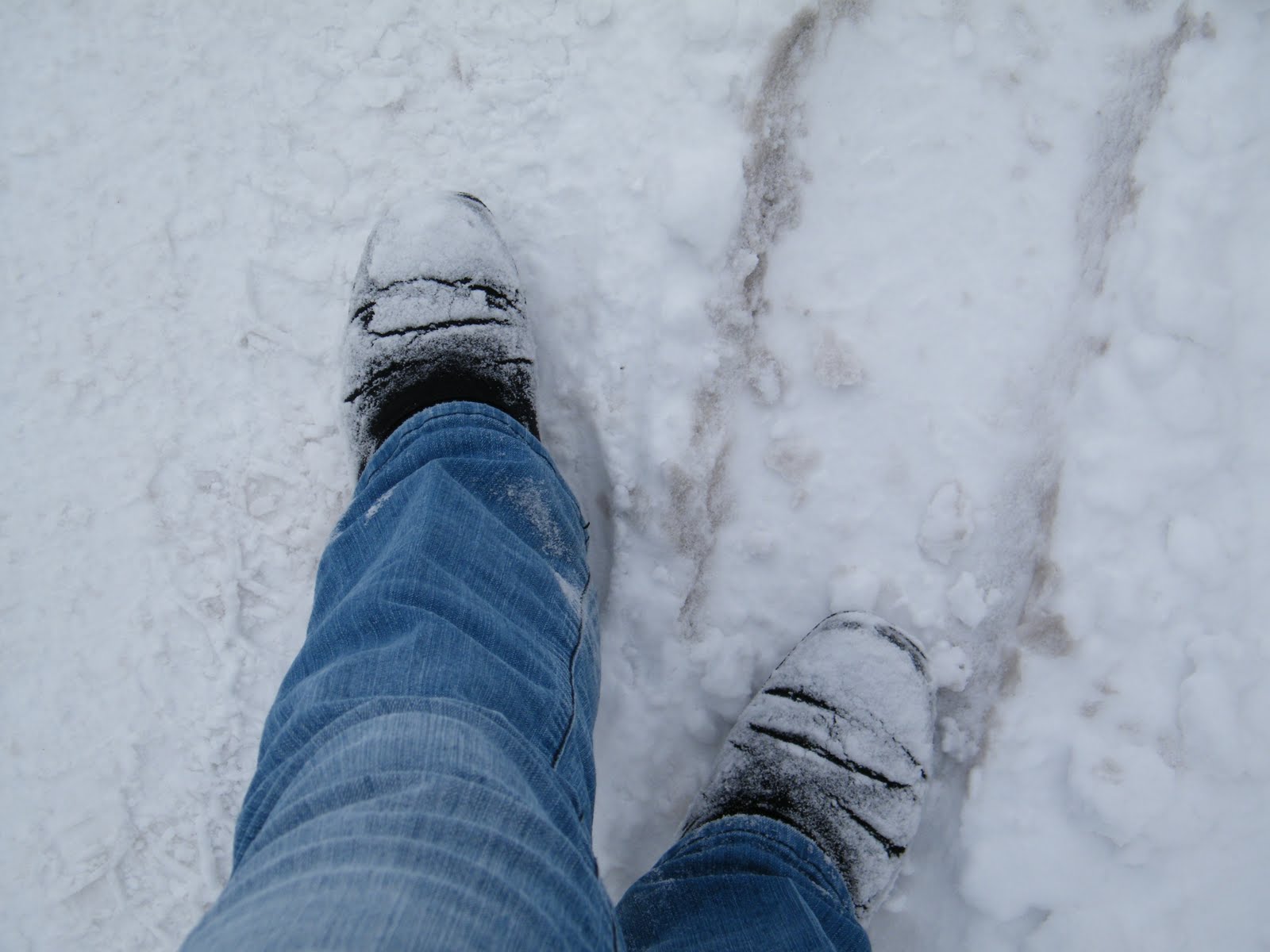 [Winter+4.JPG]