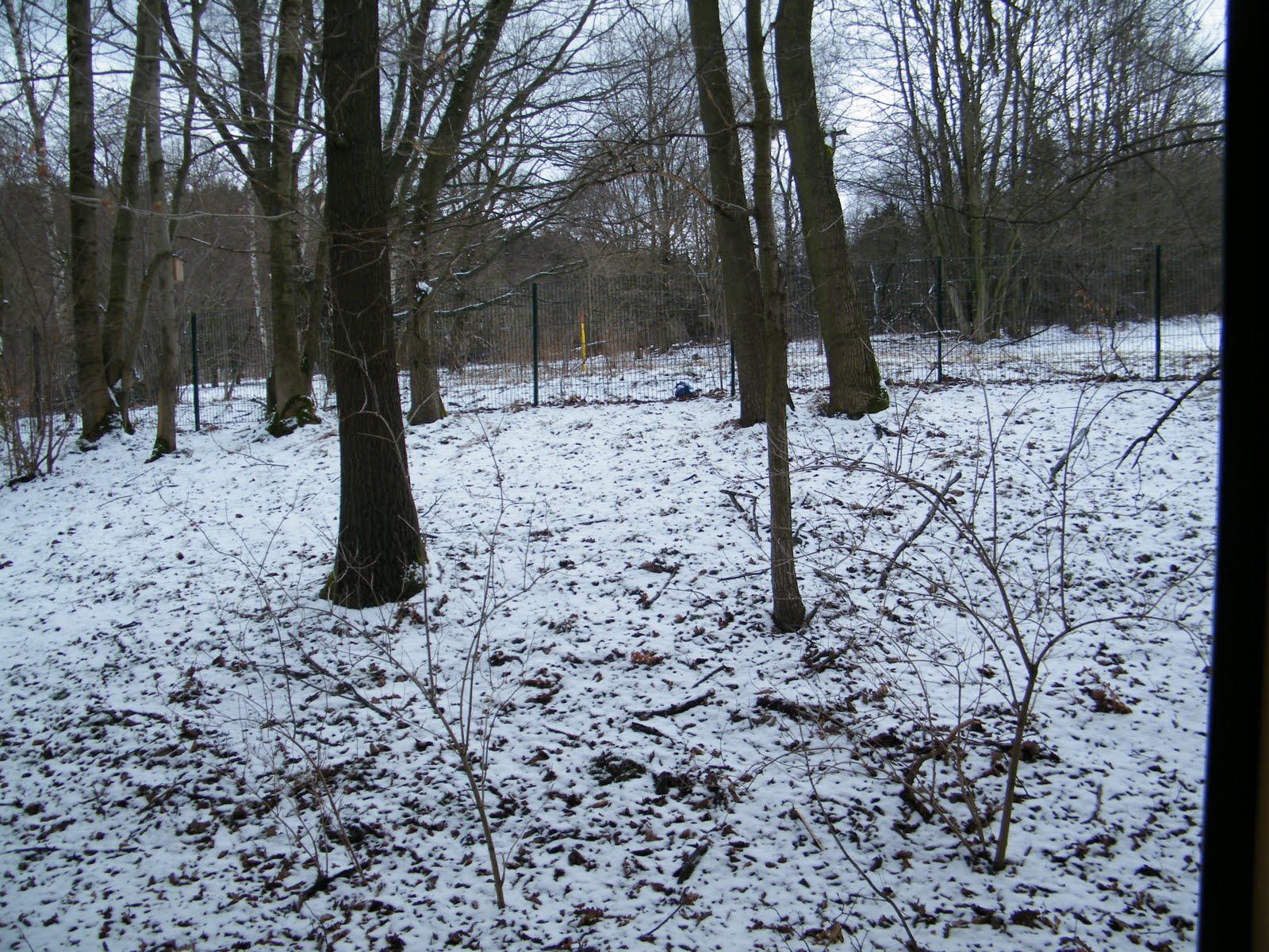 [DSCF0620.JPG]