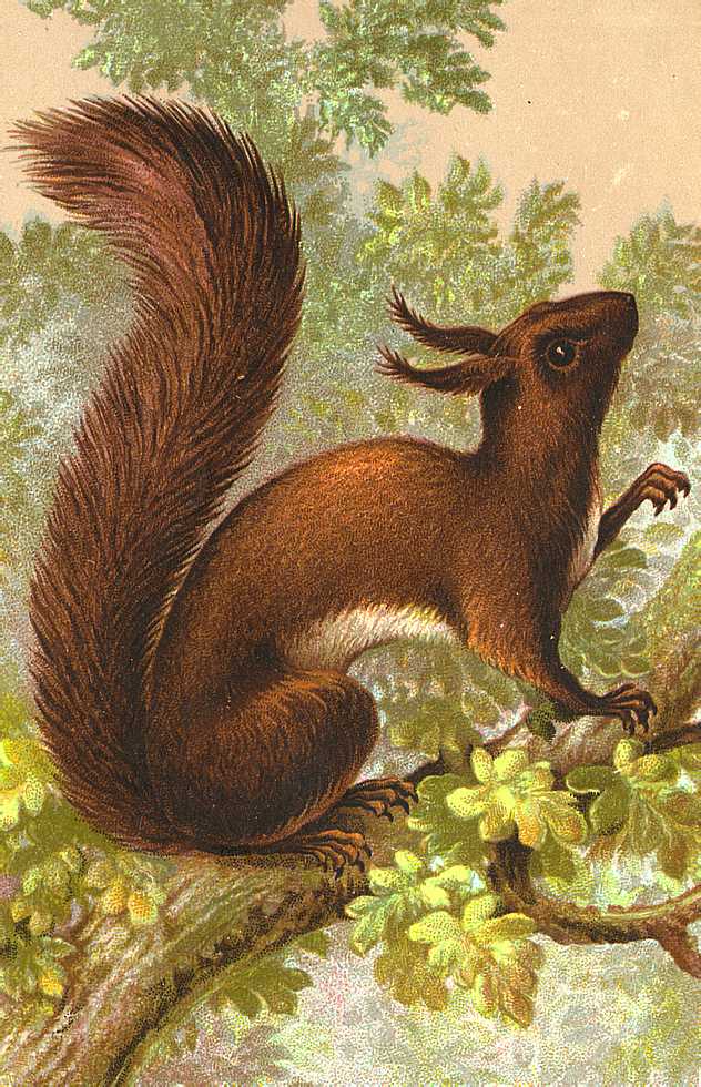 Cards Scrapbooking and Art Freebies Vintage Animals