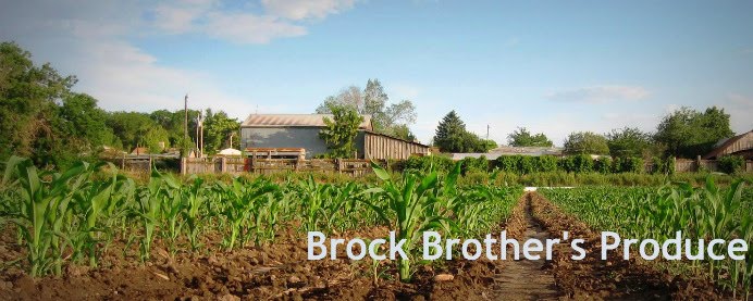 Brock's Produce