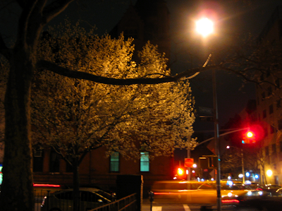Alphabet City is that perfect