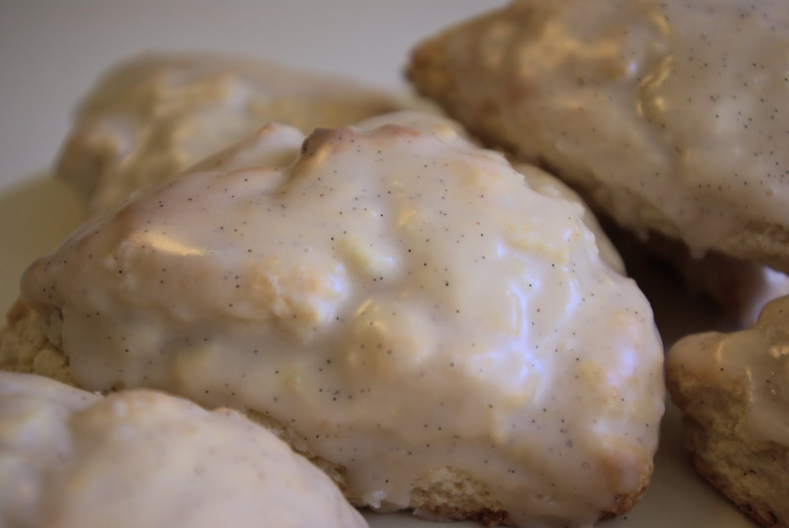 Oleander and Palm Vanilla Bean Scones