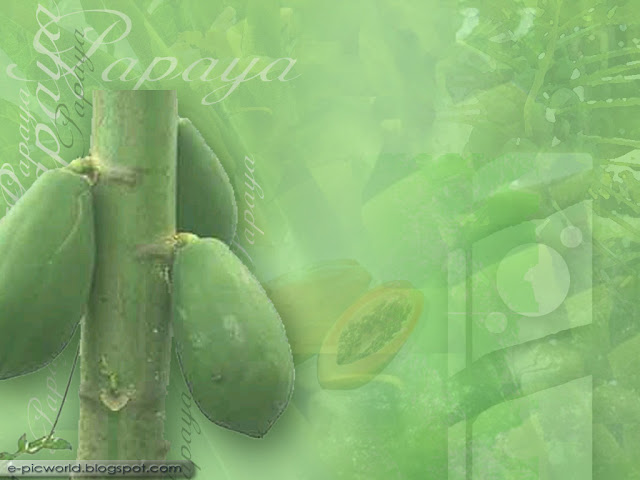 papaya fruit wallpaper