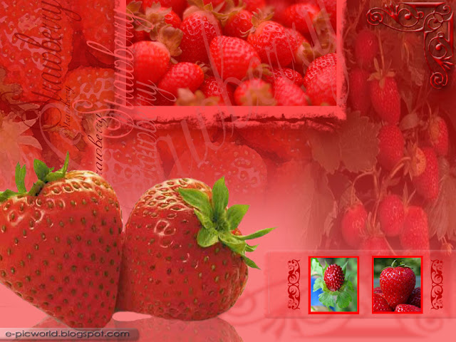 strawberry fruit wallpaper