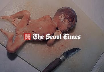 Human Soup