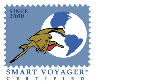 [smart+voyager.jpg]