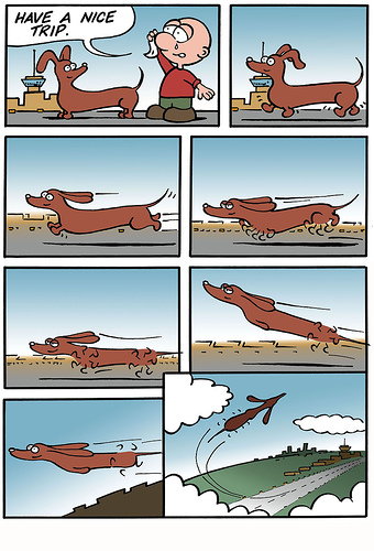 [cÃ£o+voador.jpg]