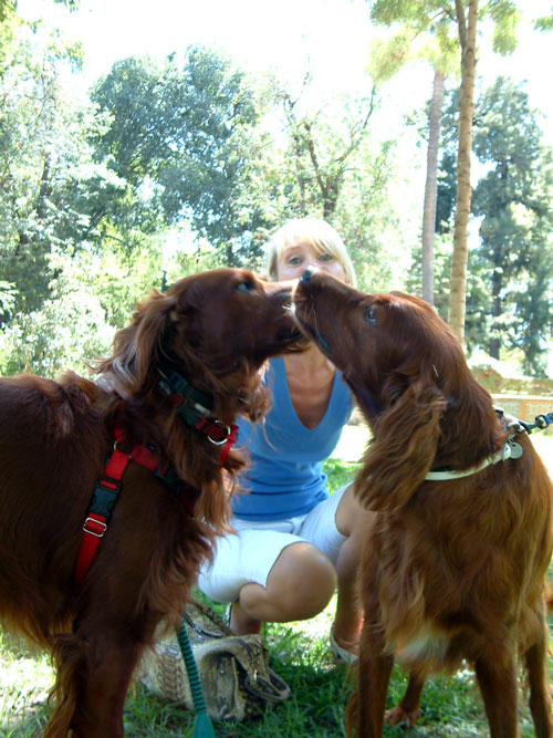 [artie-e-jasper-R.jpg]