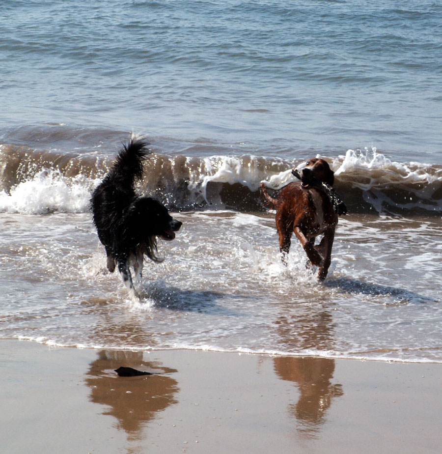 [ti-e-james-beach.jpg]