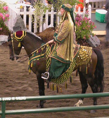 [Reg5_ArabCostume2.JPG]