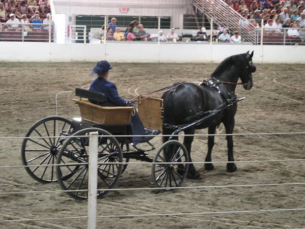 [IMG_1100a.JPG]