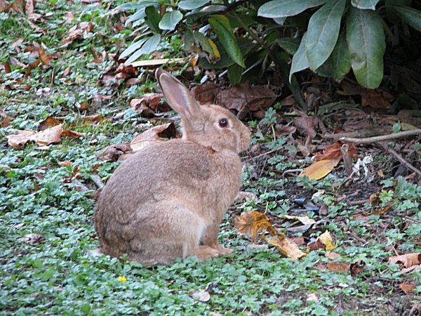 [IMG_0371a.JPG]