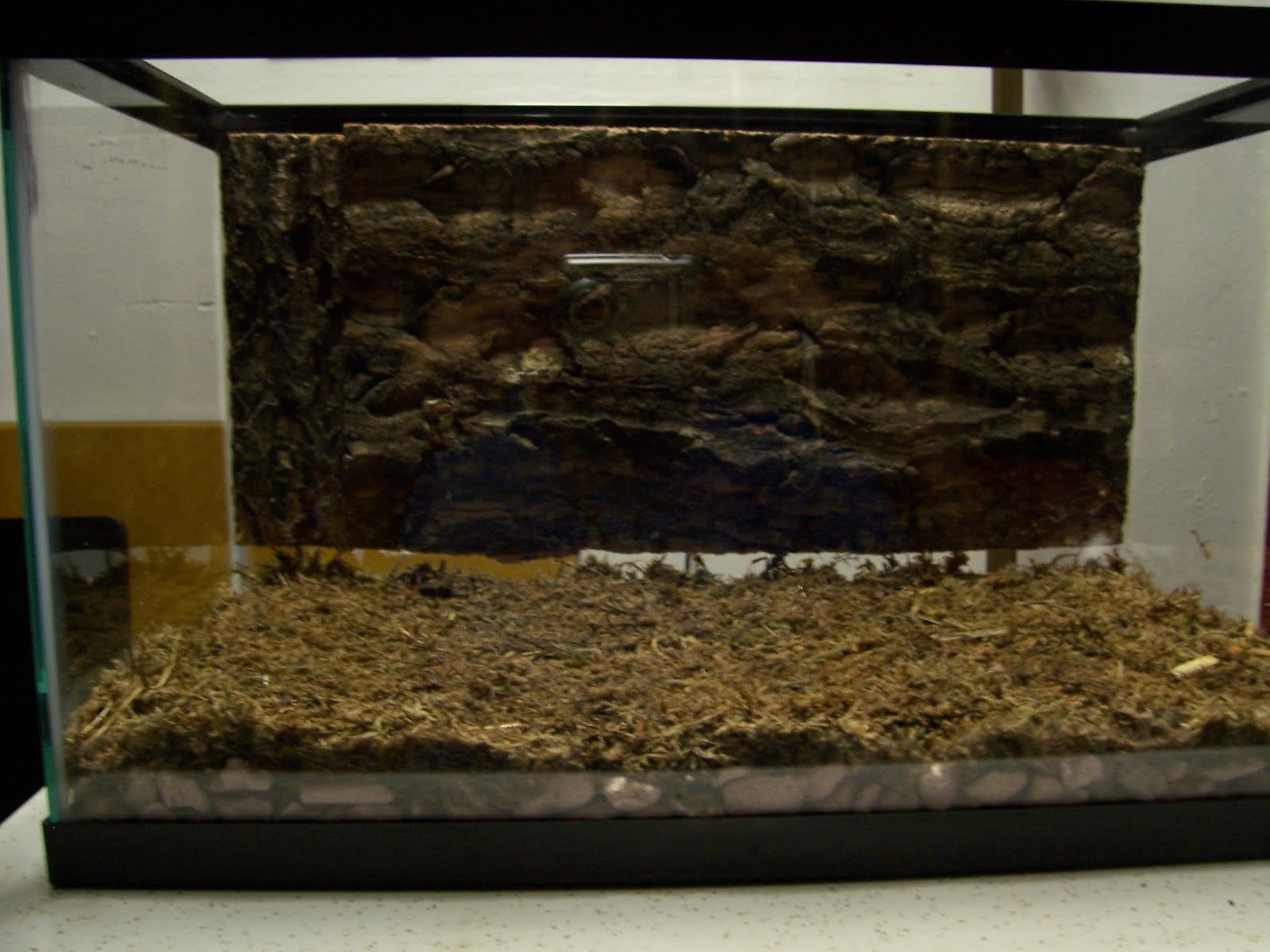 The Herper Reptile and Amphibian Care Vivarium Construction
