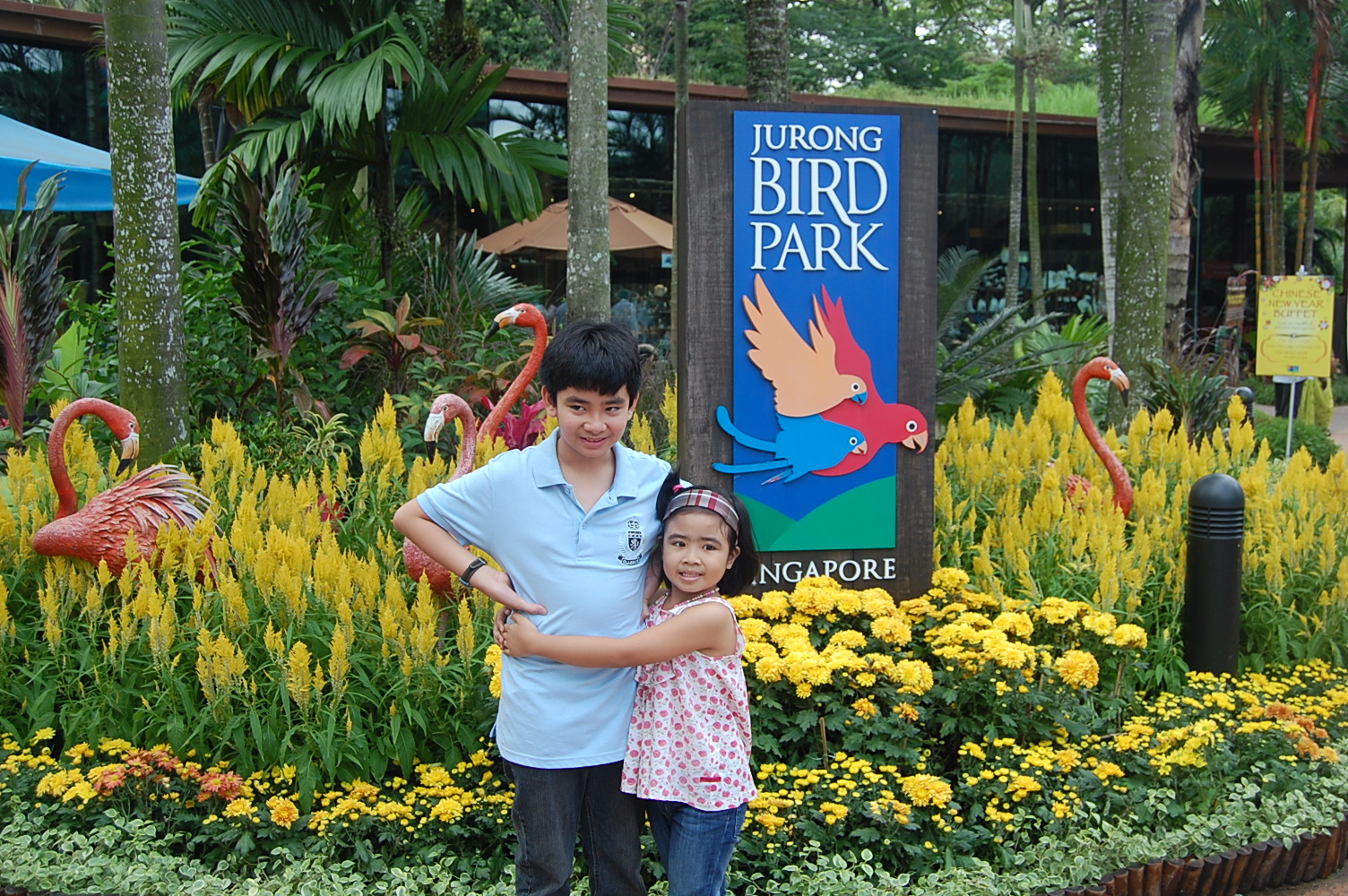 singapore birds