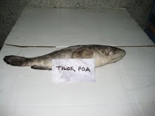 POA
