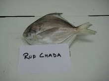RUP CHADA