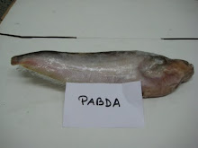 PABDA