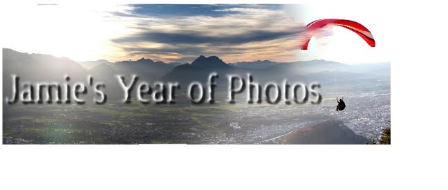 Jamie's year of photos