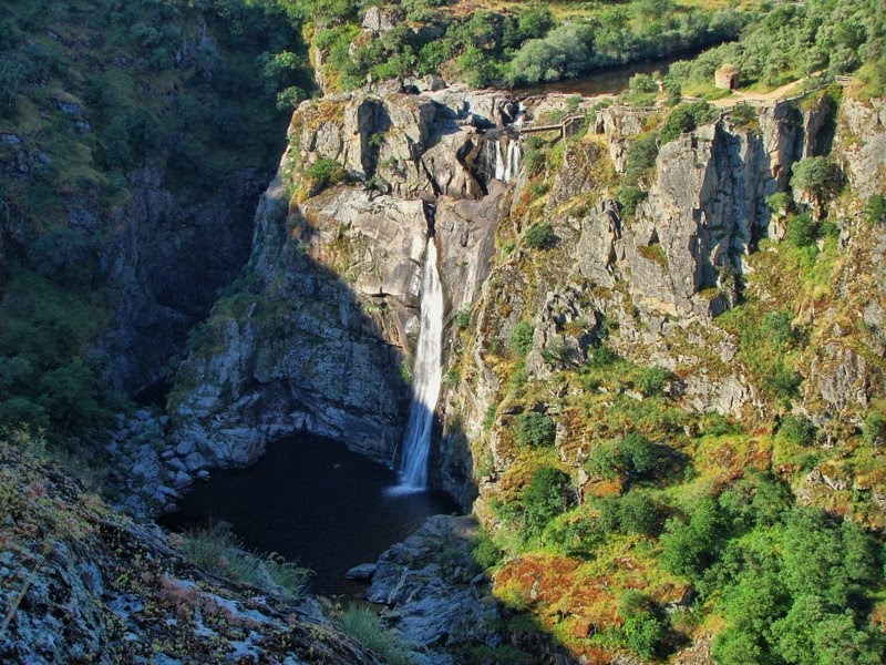 NATURALEZA SALVAJE: junio 2010