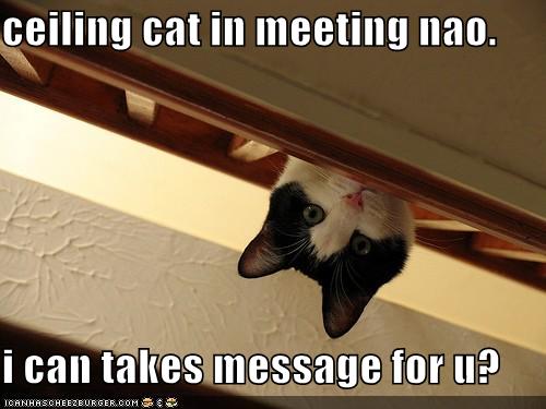 ceilingcat.jpg