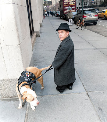 pitboss wiki, pitboss