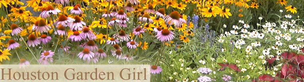 Houston Garden Girl