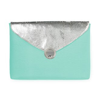 Mint Laptop