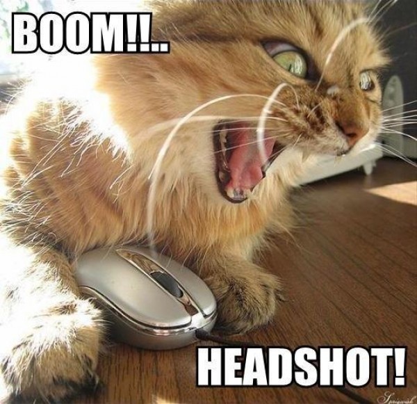boom_headshot_cat-e1272847006235.jpg