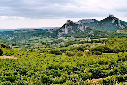 Vineyards in the Dentelles de Montmirail