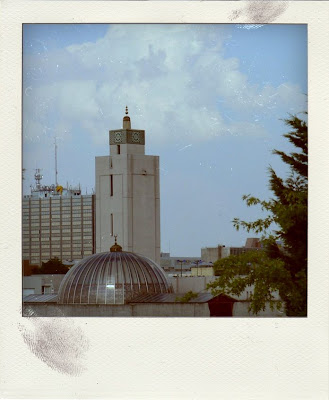 Evry%20Daily%20Photo%20-%20Polaroid%20-%20la%20grande%20mosquee%20evry.jpg