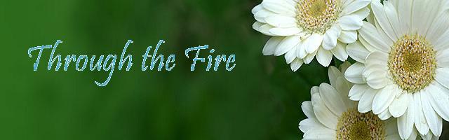 Through the Fire