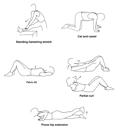 Plantar Fasciitis,Pes Planus,Mallet Toe,High Arched Feet,Heel Spur,Heel Pain,Hammer Toe,Hallux Valgus,Foot Pain,Foot Hard Skin,Foot Conditions,Foot Callous,Flat Feet,Fallen Arches,Diabetic Foot,Contracted Toe,Claw Toe,Bunions Hard Skin,Bunions Callous,Bunion Pain,Ball Of Foot Pain,Back Pain