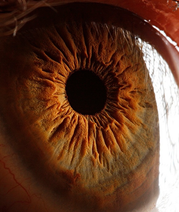 Amazing Human Photography