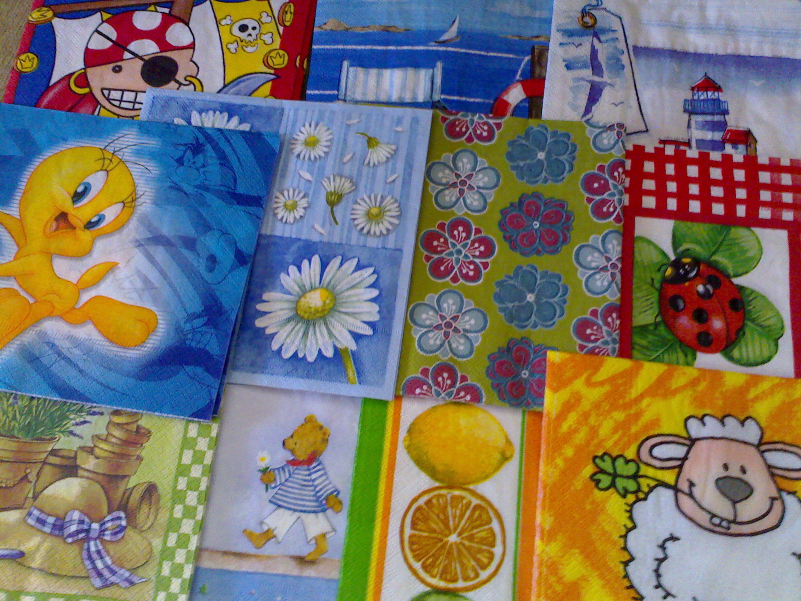 [020620091150.jpg]