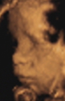 [30wks7.jpg]