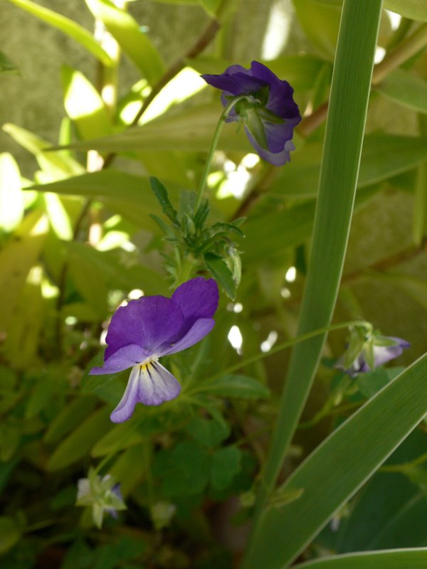 [L1140630.jpg]