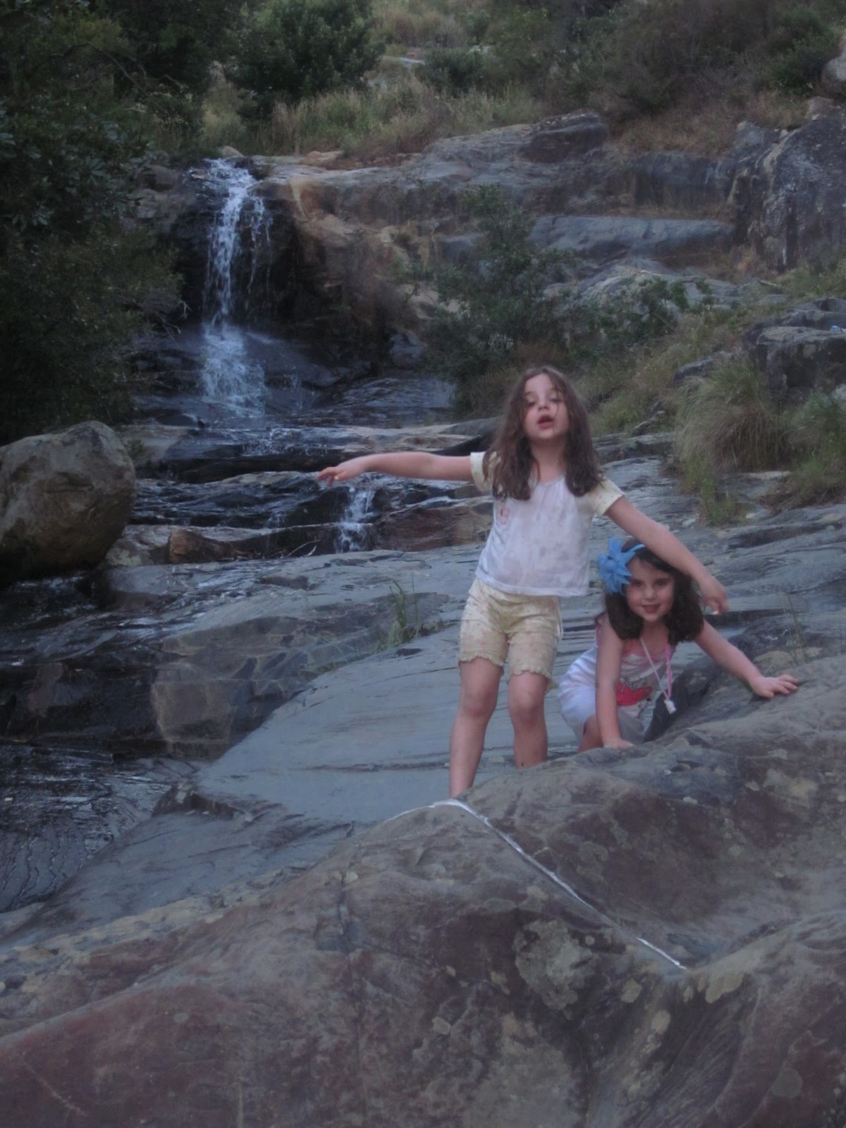 large labia productions