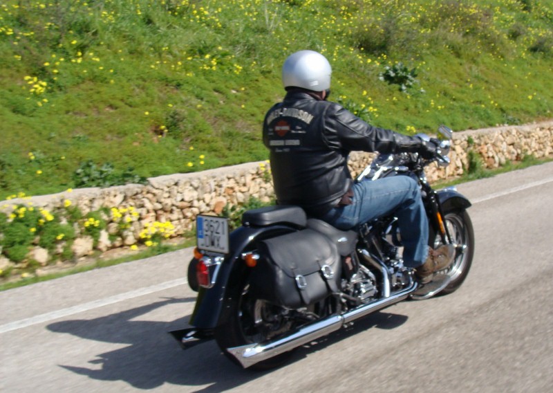 [DSC04879+(800x568).jpg]