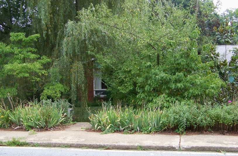 Outside Clyde: July 2010