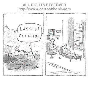 lassie get help